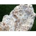 Chalcedon